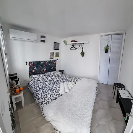 Garden Пиза